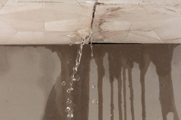 Professional Structural Drying technician working in Clermont, IN